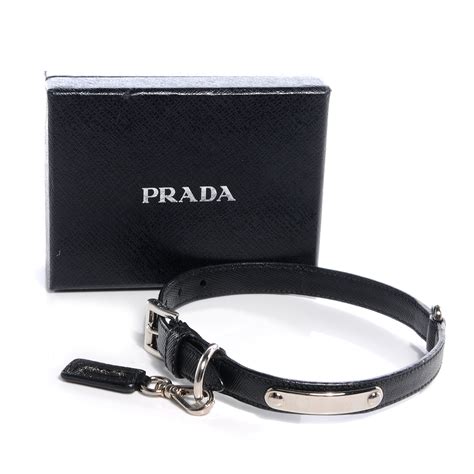 prada collares|elegant dog collar.